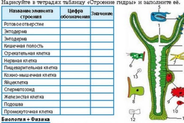 Кракен шоп зеркало