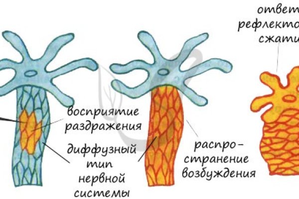 Kra31.at