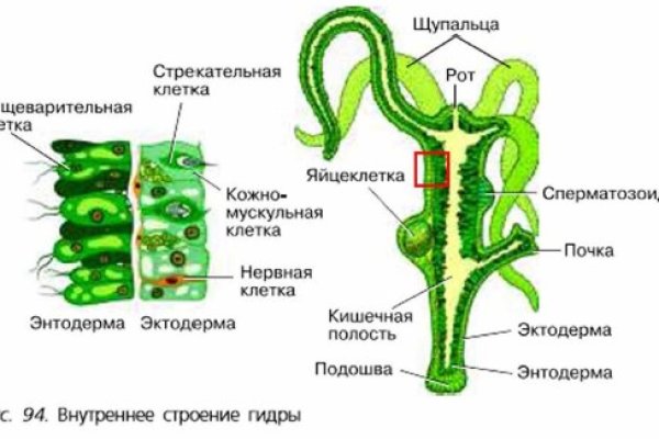 Кракен ссылка на сайт com